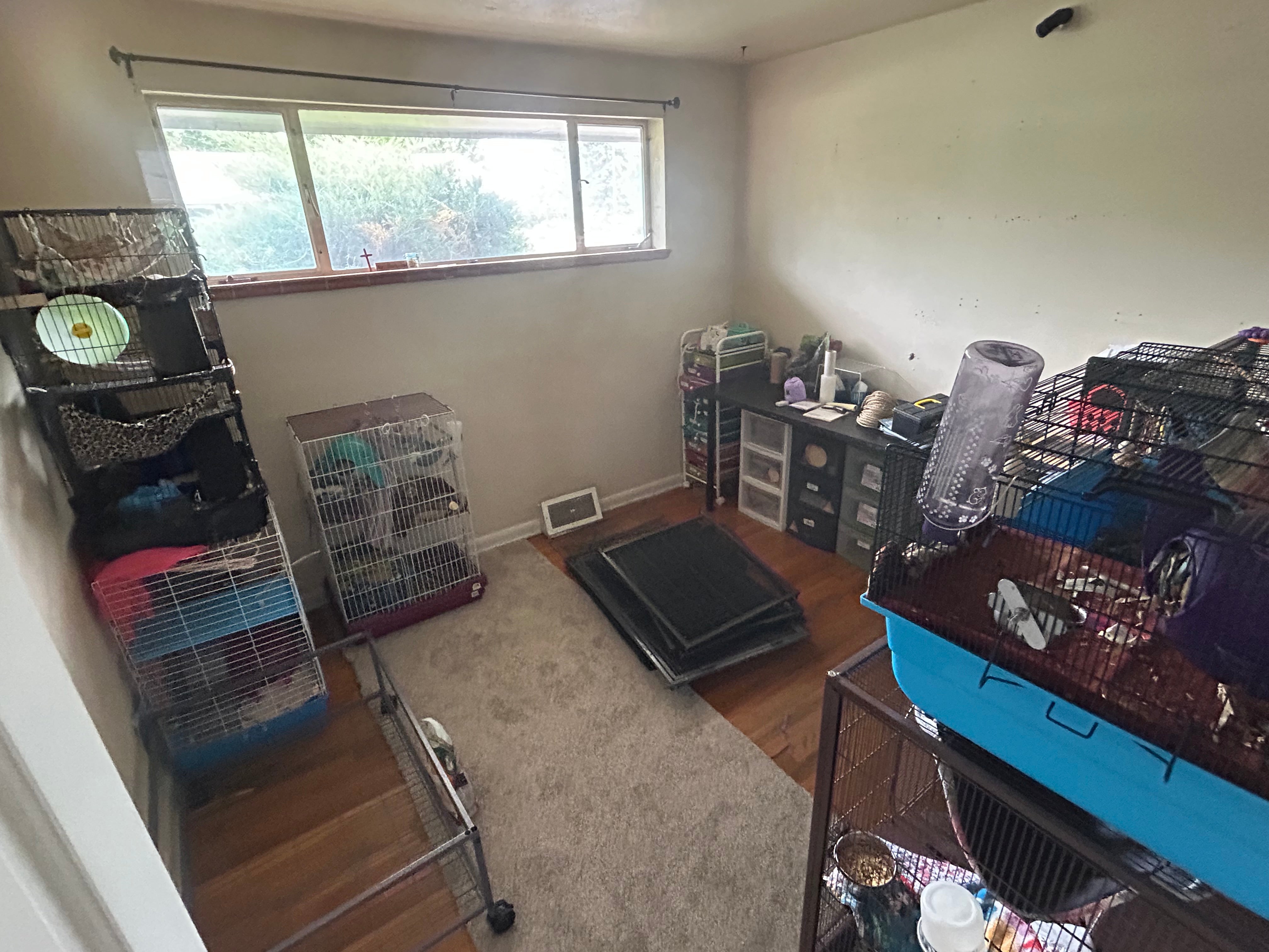 setting up the Rattery in Denver colorado