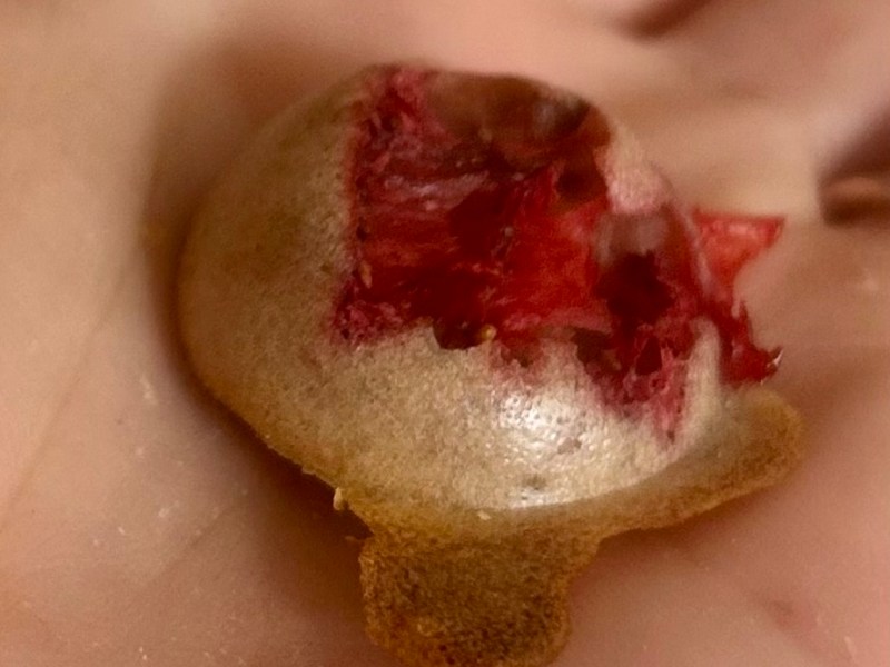 Recipe for Making Rat&nbsp;Treats