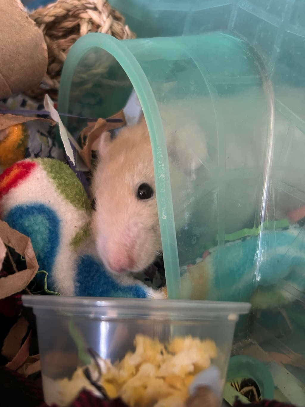 Protected: Baby Watch – Episode&nbsp;One