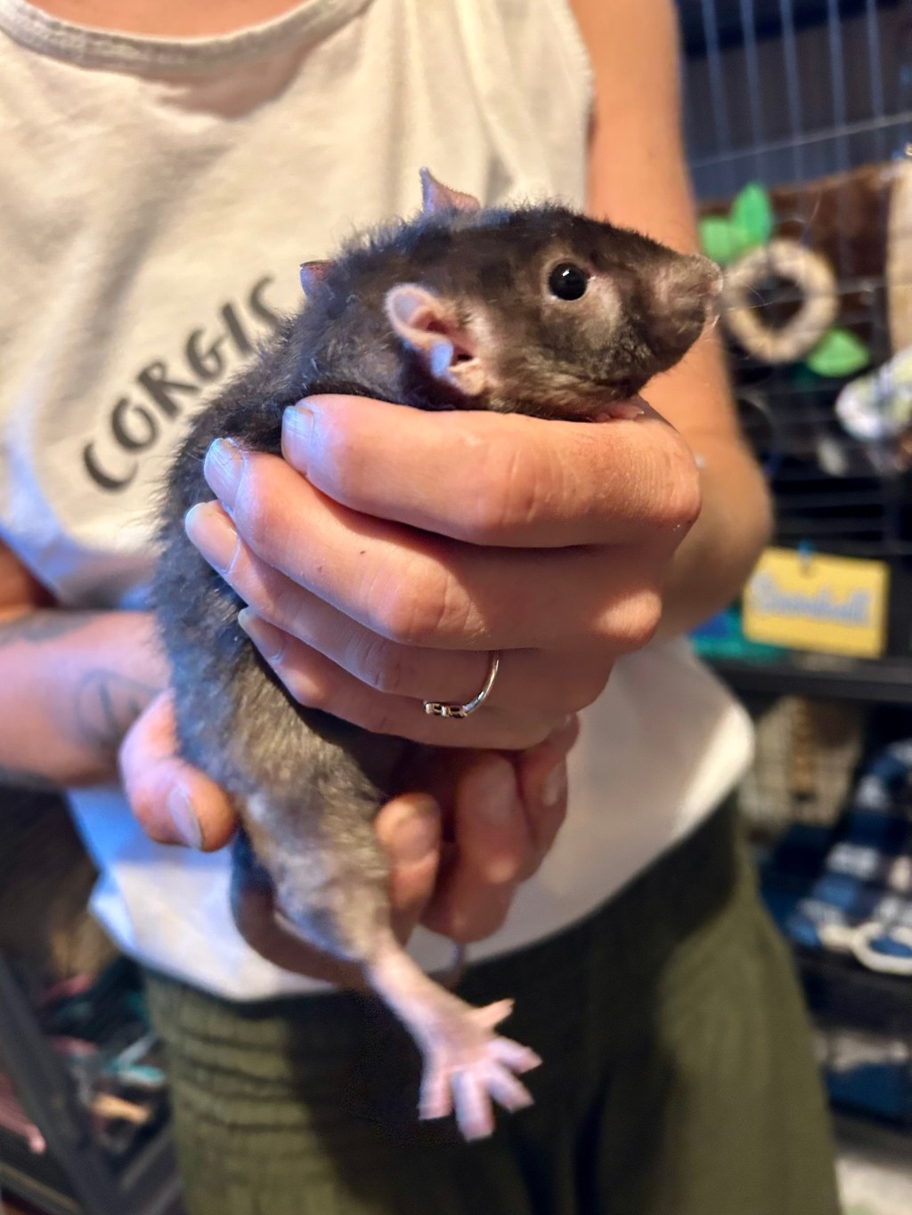 Protected: Baby Watch – Episode&nbsp;Three