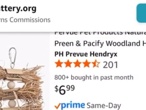 The Ultimate First Time Rat Owner Wishlist on&nbsp;Amazon