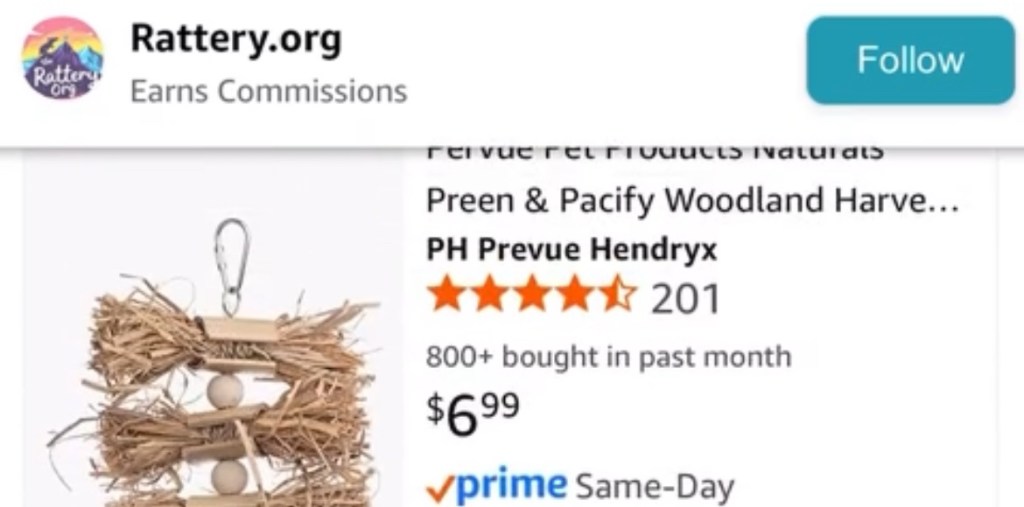 The Ultimate First Time Rat Owner Wishlist on&nbsp;Amazon