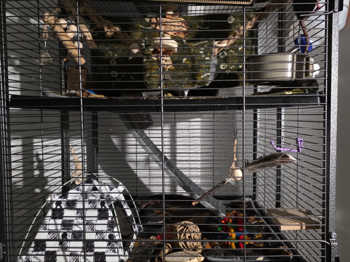 October Monthly Newsletter